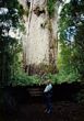 Luther in New Zealand